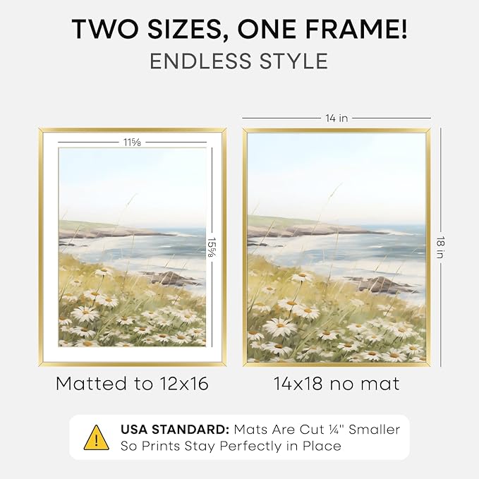 Homeforia 14x18 Gold Picture Frame, High-End Metal, 12x16 Mat, Glass