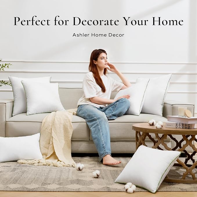 Ashler Throw Pillow Inserts (Pack of 4, White), 28 x 28 Inches Pillow Inserts with 100% Cotton Cover, Indoor Decorative Pillows Inserts for Couch Sofa and Bed