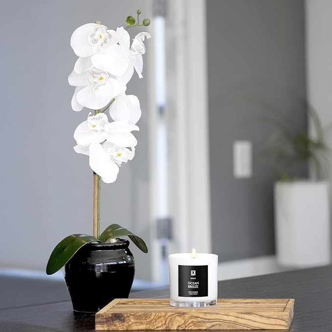 Lulu Candles | White Bamboo | Luxury Scented Soy Jar Candle | Hand Poured in The USA | Highly Scented Long Lasting (9 Oz.)
