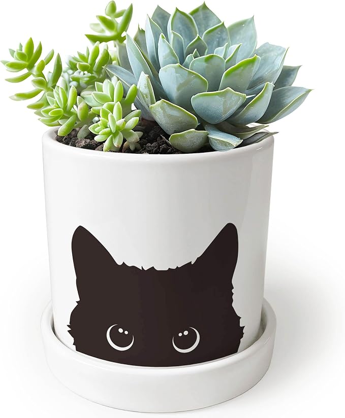 4.3 inch Small Black Cat Flower Pot，Cute Plant Pot with Cat