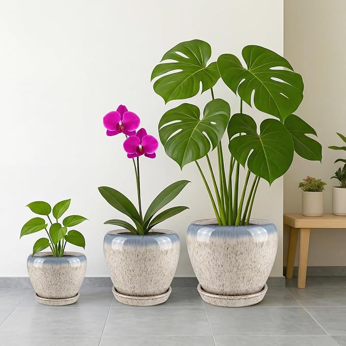 Deep Dream 8 Inch Plant Pots- Ceramic Pots for Plants with Drainage Hole and Saucer, Large Planter Pot for Indoor Plants Outdoor Decor, Beige&Blue