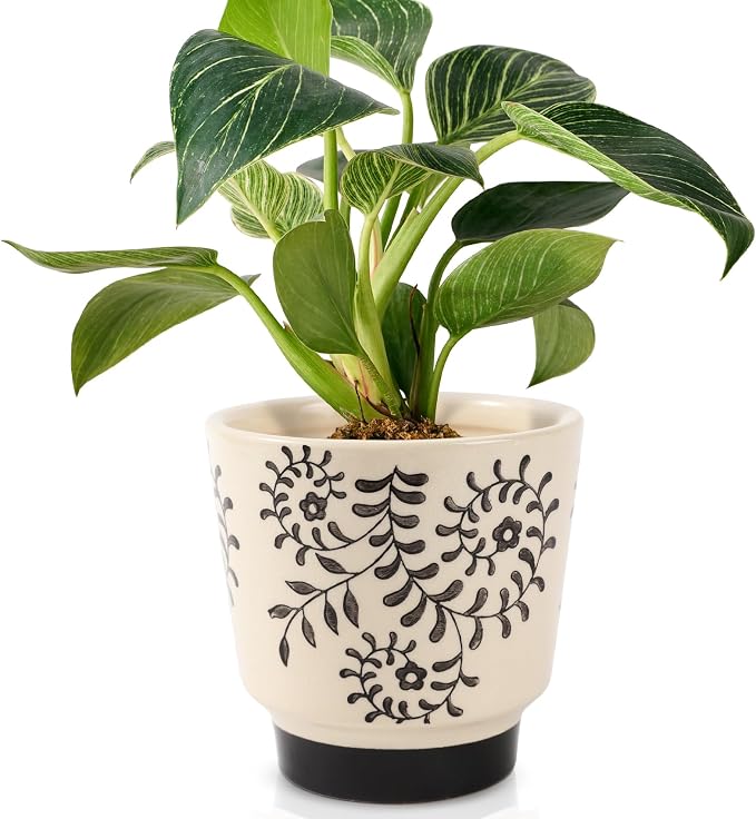 STHIE Indoor Ceramic Plant Pots with Drainage Holes, 5 Inch, Leaf Design
