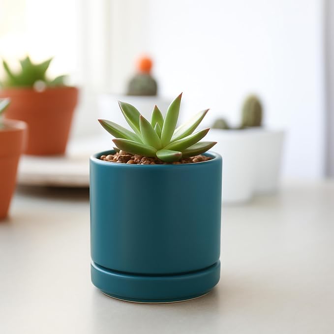 D'vine Dev 3.5 Inch Ceramic Planter Pot, Teal, 94-O-A-9 | Modern Cylinder Design, Drainage Hole & Saucer Included, Stable Structure, Elegant Home Accent
