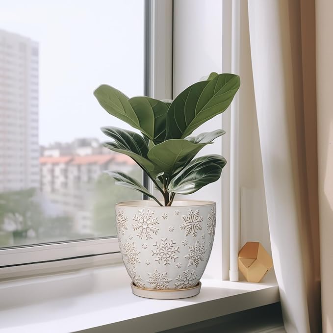 MPotTo Ceramic Planter 8 Inch Plant Pot with Drainage Hole and Saucer Ceramic Pots for Indoor Plants Outdoor Large Flower Pot for Home Decor White