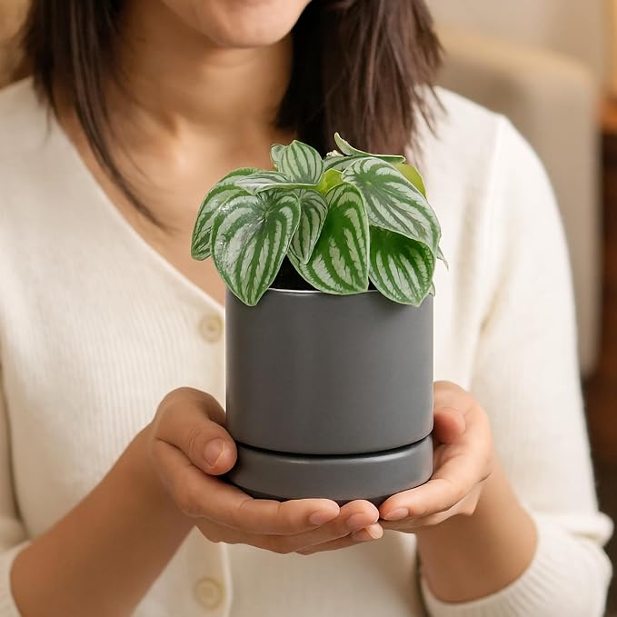 D'vine Dev 4.7 Inch Ceramic Planter Pot, Grey, 94-O-B-3 | Modern Cylinder Design, Drainage Hole & Saucer Included, Stable Structure, Elegant Home Accent