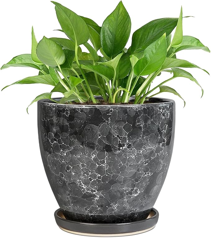 Ceramic Pots for Plants - 6 Inch Ceramic Planter with Drainage Hole and Saucer, Modern Planters for Indoor Outdoor Plants, Round Planter, Home Garden Decor, Plant Lover Gifts, Grey