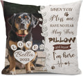 Alienc Personalized Pet Memorial Gifts for Dogs Cats, Custom Pet Memorial Throw Pillow Cover (Optional Pillow Insert), Loss of Dog Sympathy Gift