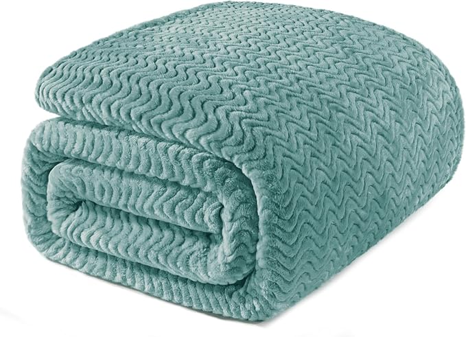Exclusivo Mezcla Soft Fleece Blanket Twin Size for Bed, Sofa, Celadon | 90"x66" Breathable Lightweight Flannel Blanket for Summer, Plush Cozy Jacquard Wave for Home Decor