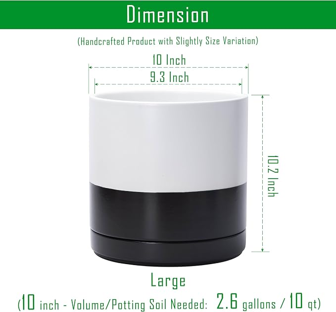 D'vine Dev 10 Inch Ceramic Planter Pot, Black White Two Tone, 94-O-E-L | Modern Cylinder Design, Drainage Hole & Saucer Included, Stable Structure, Elegant Home Accent