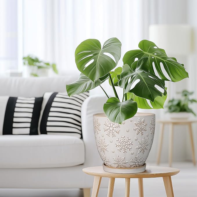 MPotTo Ceramic Planter 8 Inch Plant Pot with Drainage Hole and Saucer Ceramic Pots for Indoor Plants Outdoor Large Flower Pot for Home Decor White