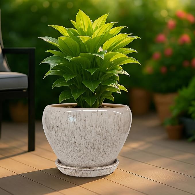 Deep Dream 10 Inch Plant Pot- Ceramic Planter Pot Round Plant Pots for Indoor Plants Outdoor Large Flower Pot with Drainage Holes & Trays, Beige