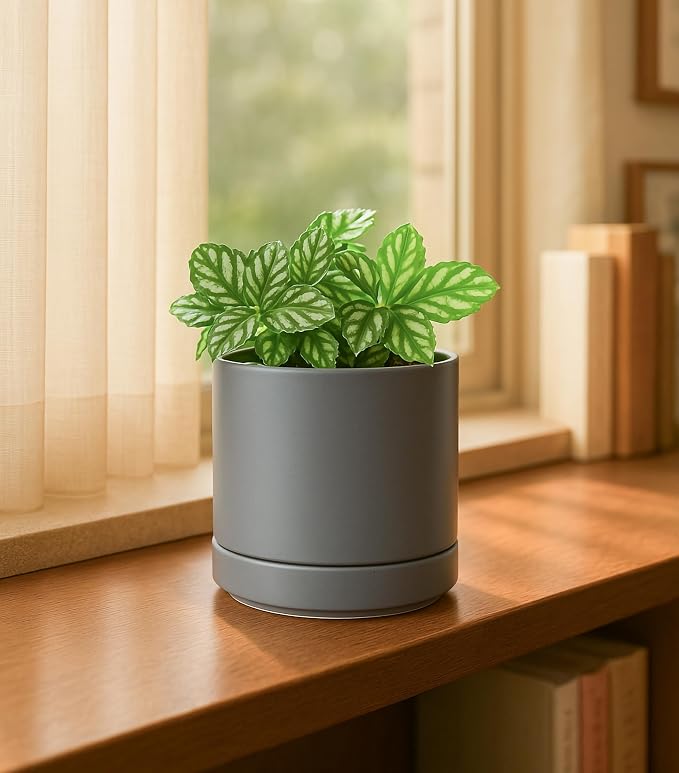 D'vine Dev 4.7 Inch Ceramic Planter Pot, Grey, 94-O-B-3 | Modern Cylinder Design, Drainage Hole & Saucer Included, Stable Structure, Elegant Home Accent
