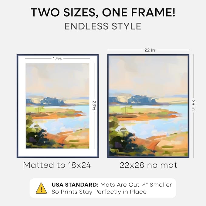 Homeforia 22x28 Blue Poster Frame, High-End Metal, 18x24 Mat, Glass