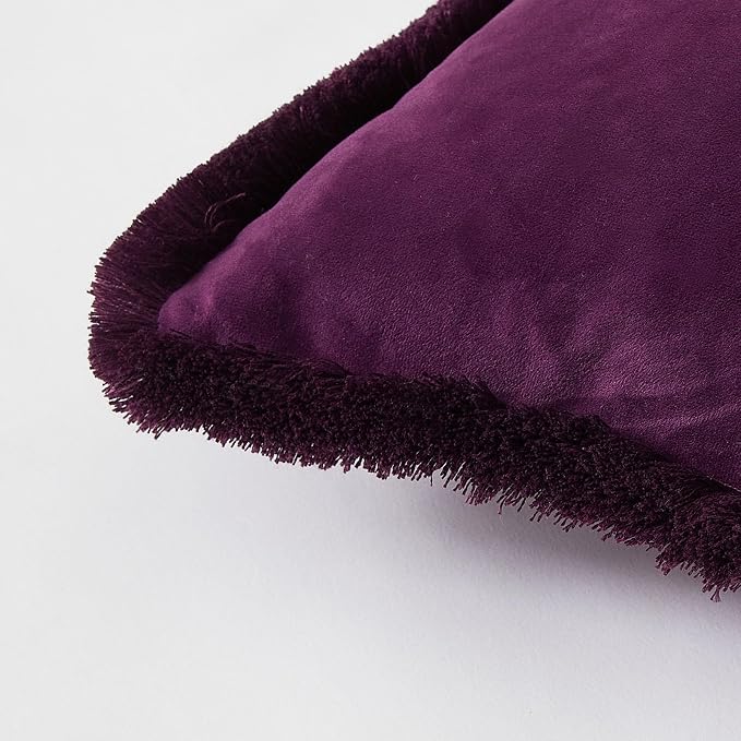 JUSPURBET Eggplant Decorative Velvet Fringe Throw Pillow Covers 20x20 Set of 2 Boho Soft Cushion Case for Home Decor Living Room Couch Sofa Bed