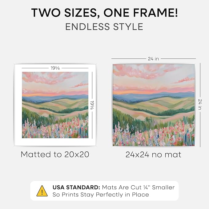 Homeforia 24x24 Silver Picture Frame, High-End Metal, 20x20 Mat, Glass