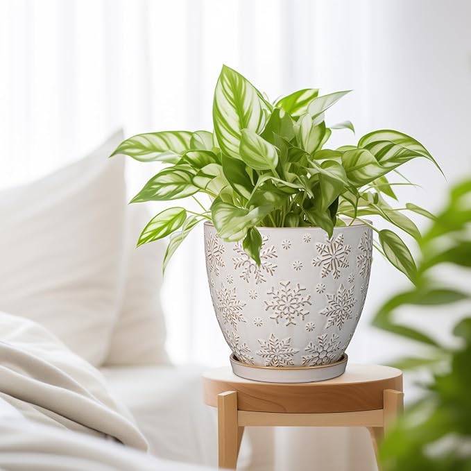 MPotTo Ceramic Planter 8 Inch Plant Pot with Drainage Hole and Saucer Ceramic Pots for Indoor Plants Outdoor Large Flower Pot for Home Decor White