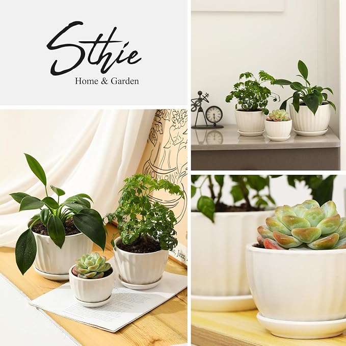 Ceramic Plant Pots with Saucers, Round White Flower Pots for Indoor Plant | Small Flower Planters with Drainage Holes, Diameter 3.3/4.3/5.5 Inches, Set of 3