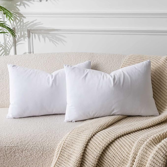 JUSPURBET 14x24 Velvet Decorative Throw Pillow Covers Set of 2,White