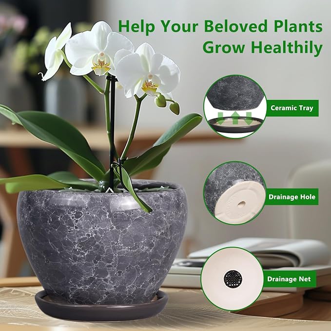 Ceramicfor 8 Inch Plant Pot - Ceramic Planter Pot with Drainage Hole and Saucer, Glaze Garden Pot Modern Flower Pot for Indoor Plants, Gray