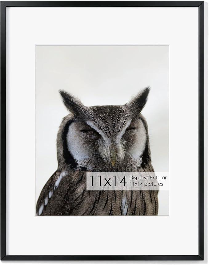 Fun Memories 11x14 Metal Picture Frame- 11x14 Aluminum Photo Frames with 8x10 Mat, High-Definition Plexiglass Front, and Hanging Hardware - Ideal for Wall or Tabletop Display (Black, Pack of 1)