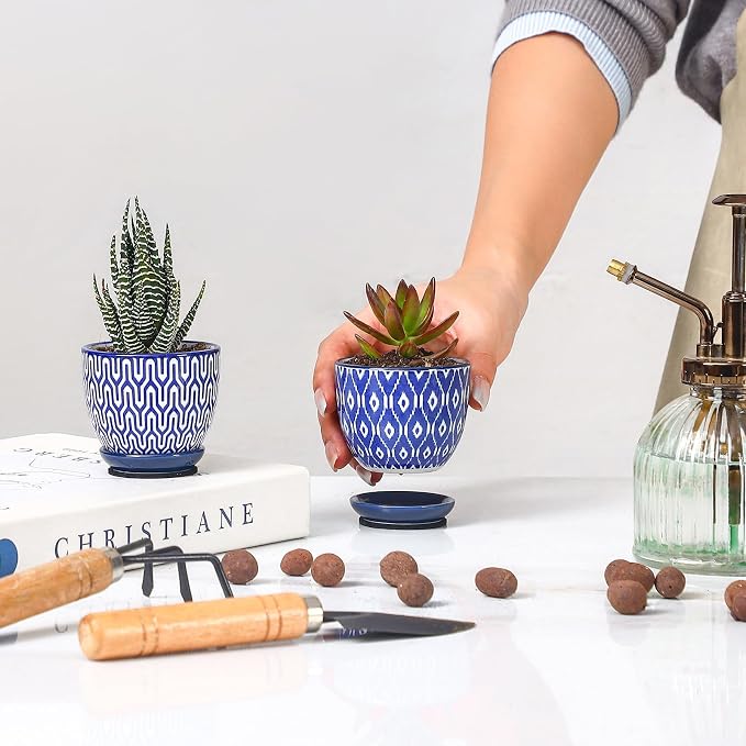 Selamica Ceramic 2.4 Inch Succulent Pots, Mini Succulent Planter Pot for Cactus Plant with Drainage Holes & Saucers, Home Decor, Set of 6, Vintage Blue