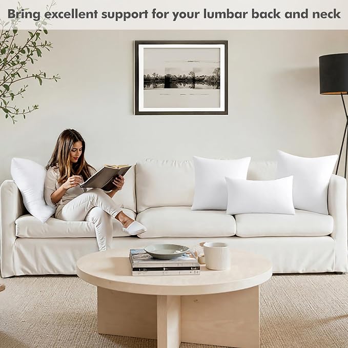 MIULEE 20x20 Pillow Insert, Premium Throw Pillow with Virgin Fiber Filling | Soft and Support, Durable Brushed Fabric, Decorative Pillow for Sofa Bed Couch