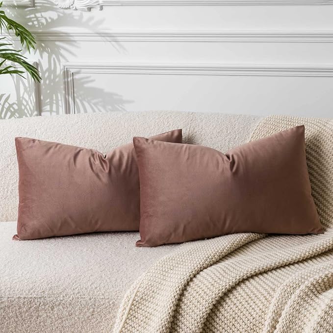 JUSPURBET 16x24 Lumbar Velvet Throw Pillow Covers Set of 2,Jam