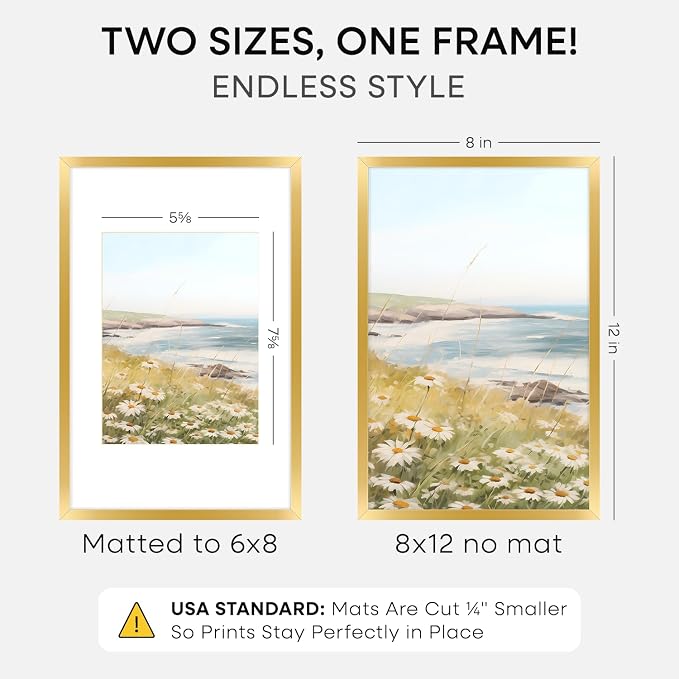 Homeforia 8x12 Gold Picture Frame, High-End Metal, 6x8 Mat, Glass