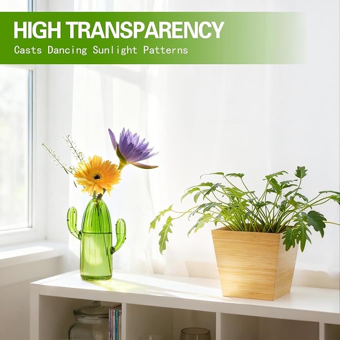 XXXFLOWER Cactus Plant Propagation Station 1 Cactus Vase Terrarium Jars | Desk Plant Cuttings Plant Holders Unique Glass Flower Vase for Hydroponics Plants for Plant Lovers Home Garden Decor