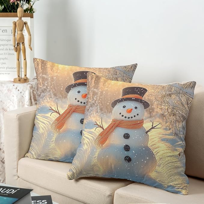 Winter Pillow Covers Snowman in The Sunshine Throw Pillow Covers 24x24 Snowflakes Pillow Case Double Sided Printing Cushion Case for Home Decor Couch Sofa Set of 2