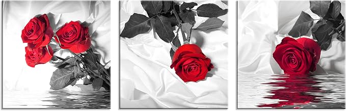 NAN Wind Canvas Print 3 Pcs Black and White Red Rose Canvas Art Painting Abstract Wall Art Decorations Flower Picture on Canvas for Home Decor Stretched and Framed (20X20inchX3pcs, Red Rose)