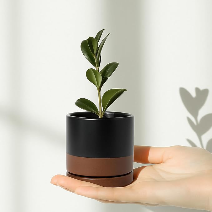 D'vine Dev 3.5 Inch Ceramic Planter Pot, Black/Tan, 94-O-A-7 | Modern Cylinder Design, Drainage Hole & Saucer Included, Stable Structure, Elegant Home Accent