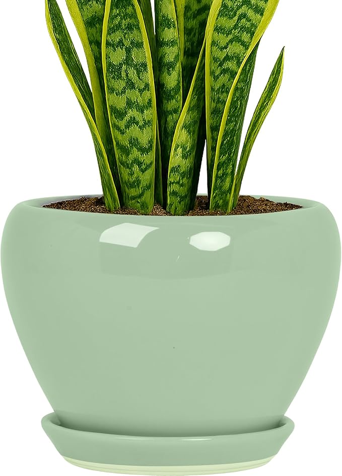 Deep Dream 8 Inch Plant Pots- Ceramic Pots for Plants with Drainage Hole and Saucer, Large Planter Pot for Indoor Plants Outdoor Decor, Mint Green