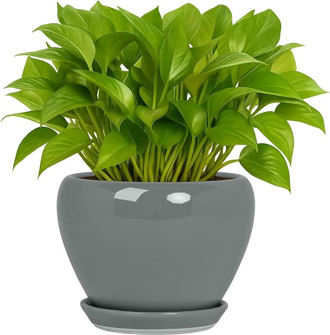 Deep Dream 6 Inch Plant Pots- Ceramic Planter Pot with Drainage Hole and Saucer, Round Flower Pot for Indoor Outdoor Succulent, Snake Plants and Cactus, Grey