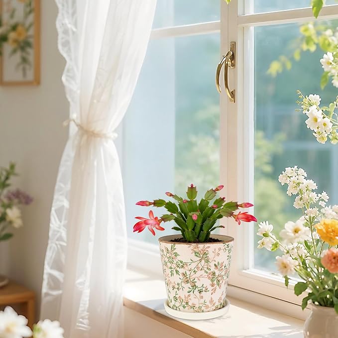 Ceramic Flower Pots for Indoor Plant with Drainage Hole & Saucer