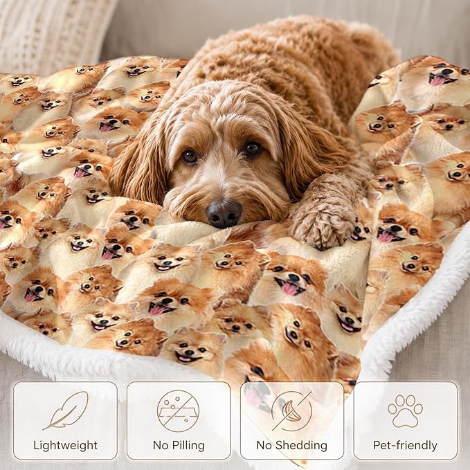 BlessLiving Throw Blanket, Dog Animal Gift, 50x60 in | sherpa fleece fabric, Pomeranian Golden Dense Pet Blankets Puppy print, for couch or sofa, pet lovers, easy machine care