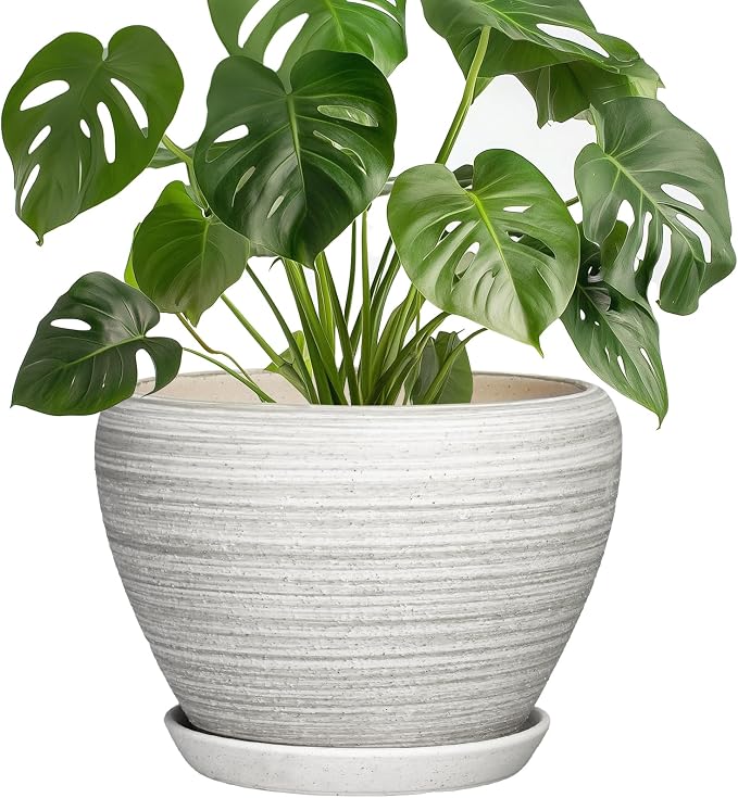 Indoor Plant Pots 8 Inch, Ceramic Plant Pots, Textured Grey | Large Flower Pot for Indoor Plants, Round Planters with Drainage Hole and Saucer, Garden Decor, Gifts for Plant Lovers