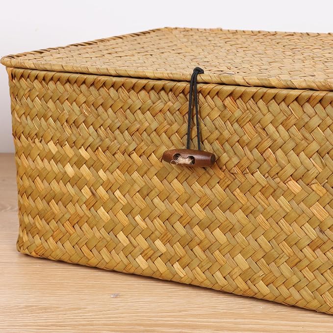 FEIALNDUO Wicker Shelf Baskets with Lid,Seagrass Storage Basket Bins Rectangular Handwoven Basket Boxes for Shelves Desktop Home Organizer (Natural, X-Small)