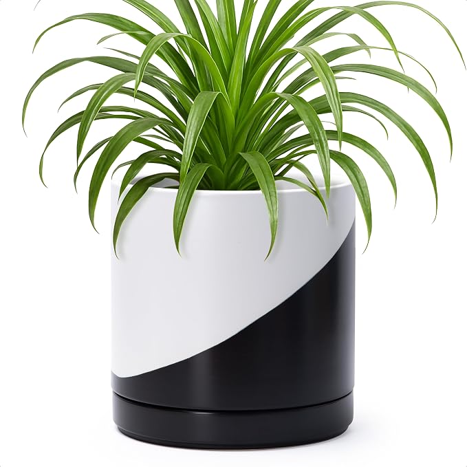 D'vine Dev 8.2 Inch Ceramic Planter Pot, Black White Diagonal, 94-O-D-K | Modern Cylinder Design, Drainage Hole & Saucer Included, Stable Structure, Elegant Home Accent
