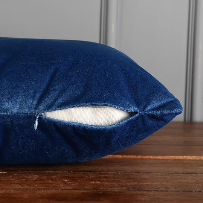 RELY+ Pack of 2 Throw Pillow Covers 18x18 Inch Velvet Soft Cozy Solid Decoration Gifts Pillow Covers Luxury Cushion Case for Sofa Couch Bedroom Living Room (Blue, 18 X 18)