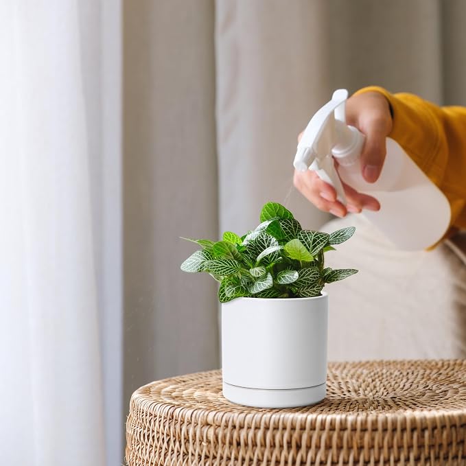 D'vine Dev 3.5 Inch Ceramic Planter Pot, White, 94-O-A-1 | Modern Cylinder Design, Drainage Hole & Saucer Included, Stable Structure, Elegant Home Accent