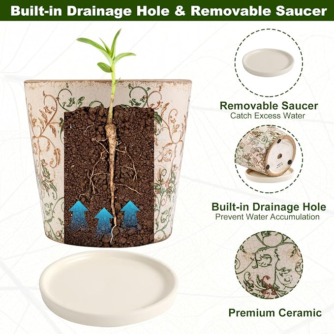 Ceramic Flower Pots for Indoor Plant with Drainage Hole & Saucer