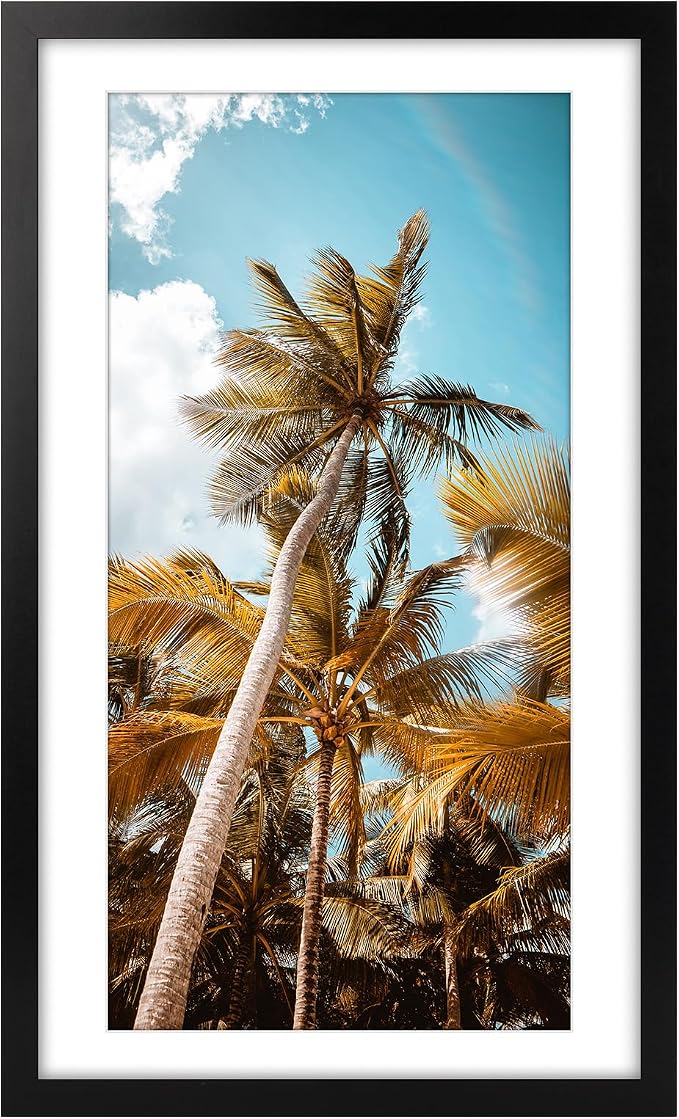 Frametory 14x24 Black Picture Frame with Real Glass Mat for 11x22