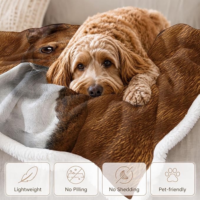 BlessLiving Throw Blanket, Brown Dog Animal Gift, 50x60 in | sherpa fleece fabric, Basenji Large Pet Blankets Puppy Lovers print, for couch or sofa, pet lovers, easy machine care