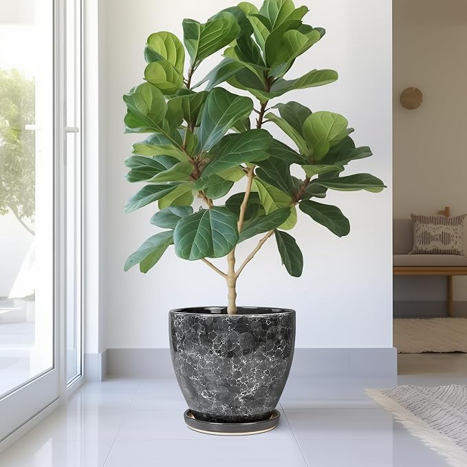 Ceramic Pots for Plants - 10 Inch Planter for Indoor Outdoor, Decorative Round Flower Pot with Drainage Hole and Saucer, Garden Patio Living Room Home Decor, Housewarming Gifts, Grey