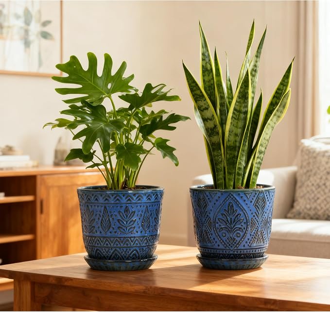 Gepege Ceramic Plant Pots, 6 Inch Indoor Planters with Drainage & Saucers | Ceramic pots for plants with drainage holes, ceramic saucers and mesh pads, ideal for flowers, herbs and succulents, set of 2