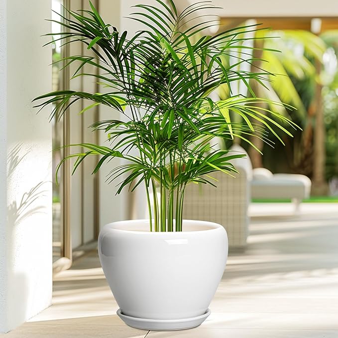 Ceramicfor Ceramic Pot for Plants, 8 Inch Planter, Glossy White | Plant Pot with Drainage Hole and Saucer, Round Planter for Indoor Plants, Modern, Plant Lover Gifts, Home Office Garden Decor