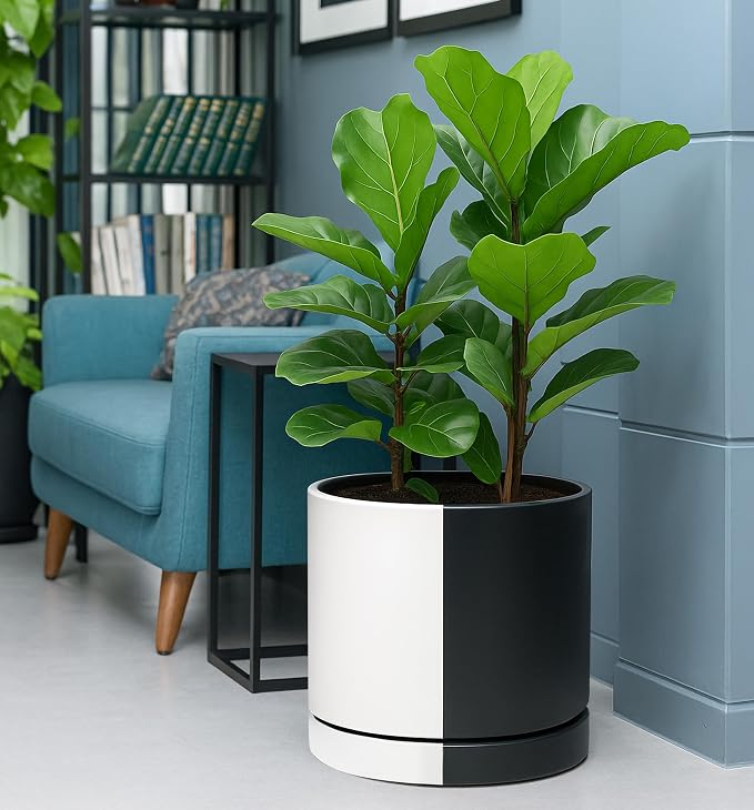 D'vine Dev 12 Inch Ceramic Planter Pot, Black White Split, 94-O-F-0 | Modern Cylinder Design, Drainage Hole & Saucer Included, Stable Structure, Elegant Home Accent