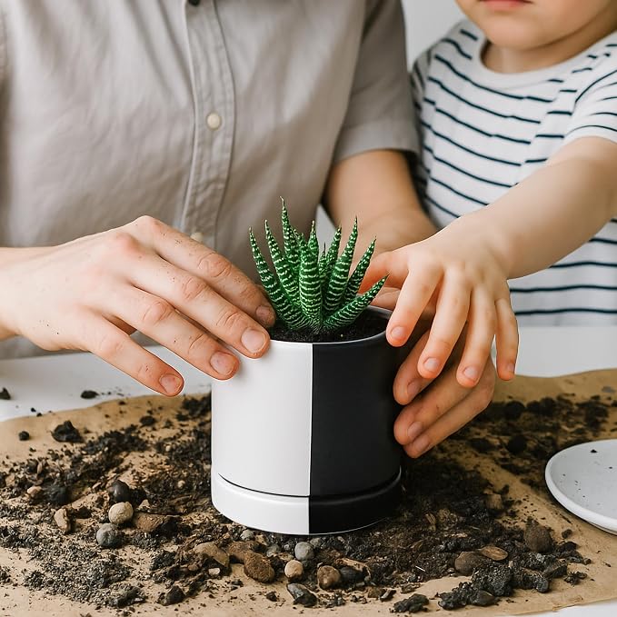 D'vine Dev 3.5 Inch Ceramic Planter Pot, Black White Split, 94-O-A-0 | Modern Cylinder Design, Drainage Hole & Saucer Included, Stable Structure, Elegant Home Accent
