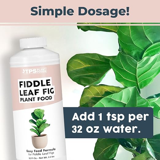 Fiddle Leaf Fig Fertilizer, Liquid Plant Food for Bigger Leaves, 32 oz